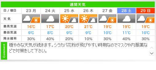 やはり五里霧中？