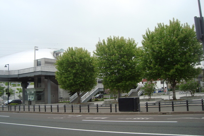 新緑