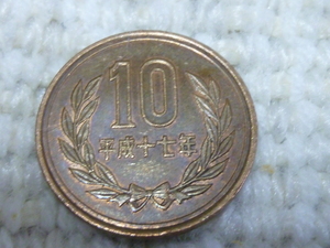 月桂樹の親戚？