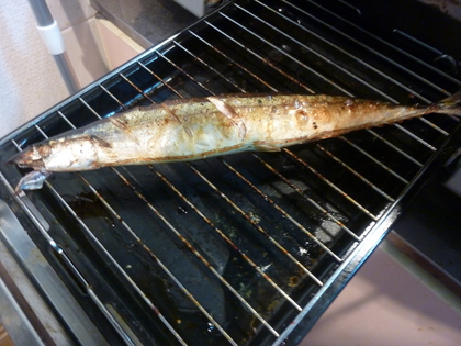 目黒の秋刀魚同様に脂が乗ってます