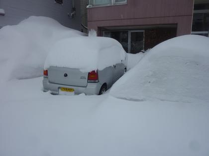 すっぽり