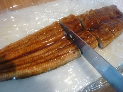 大きいウナギ