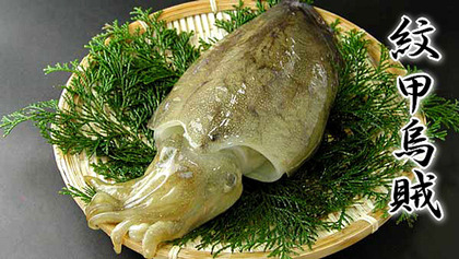 肉厚