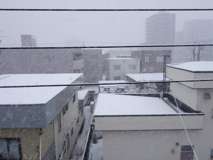 かなり降っています(^^;