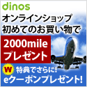 20080129-00.gif