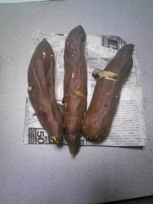20100402-01.jpg