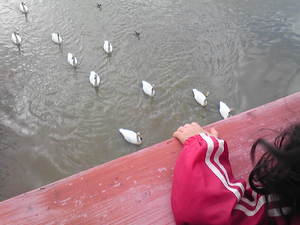 20100403-00.jpg