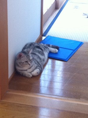 20110622-00.JPG