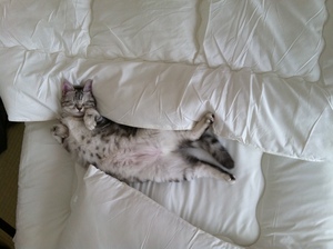 20110622-01.JPG