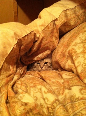 20120105-00.JPG