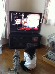 20120116-01.JPG