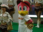 20051112-01.JPG