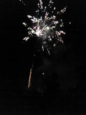 20110729-01.jpg