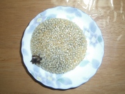 潰れ…
