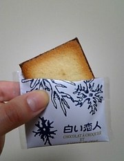 20090826-08.JPG