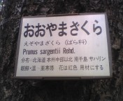 20081014-02.jpg