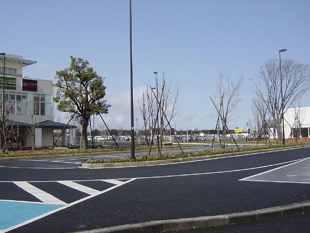 20080206-02.JPG