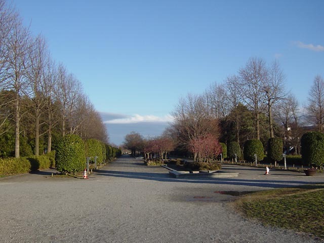 20080206-10.JPG