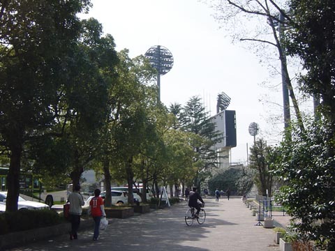 20080510-19.jpg