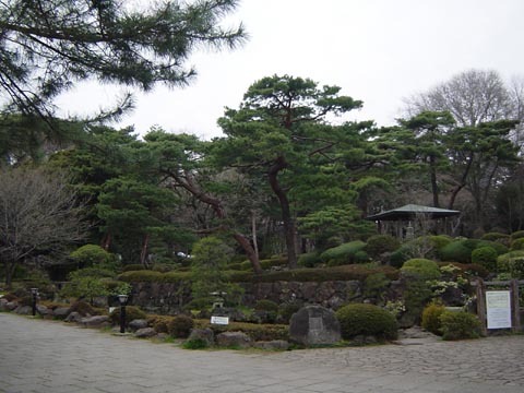20080510-36.jpg