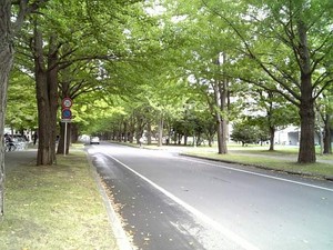 icho