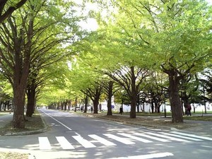icho2