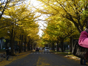 icho