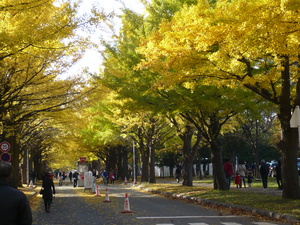 icho2