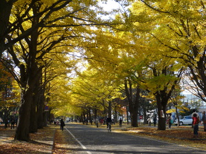 icho3