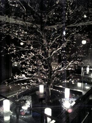 ume