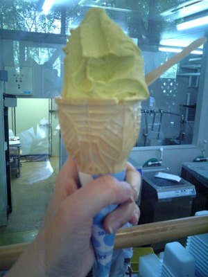 ice