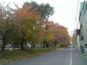 cycling