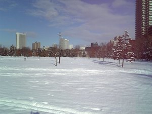 ski1