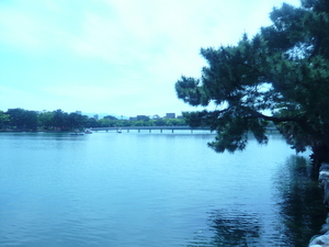 ohori