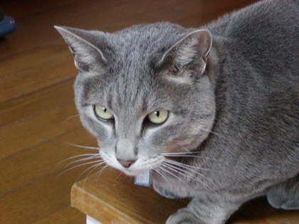 20051116-01.JPG