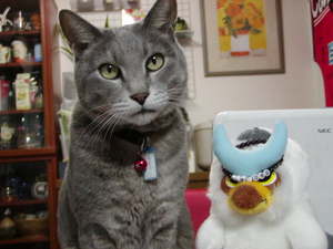 20051219-00.JPG