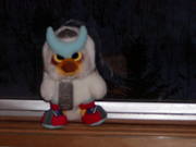 20060206-00.JPG