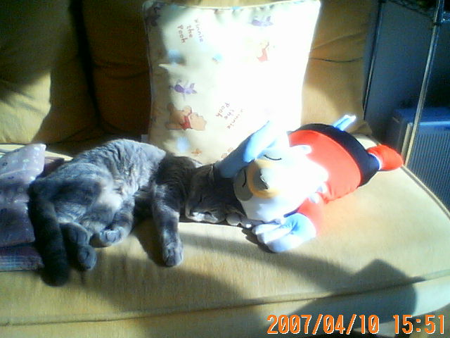 200704101551.jpg