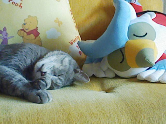 200707271524.jpg