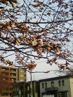 F1000315.jpg