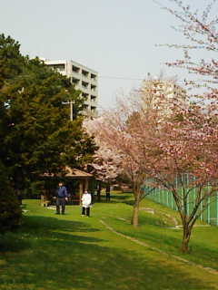 F1000318.jpg