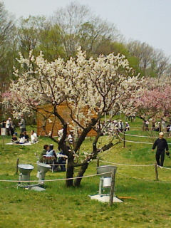 F1000329.jpg
