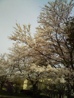 F1000330.jpg