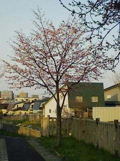 200904301721.jpg