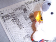20051127-00.jpg