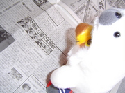 20051201-00.jpg