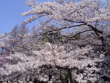 20070510-00.jpg