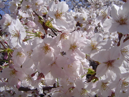 20070510-01.jpg