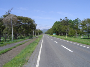 20070525-04.jpg