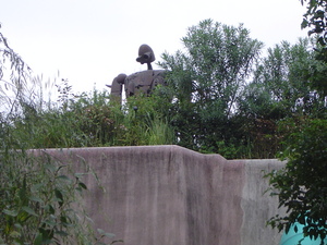 20070726-01.jpg